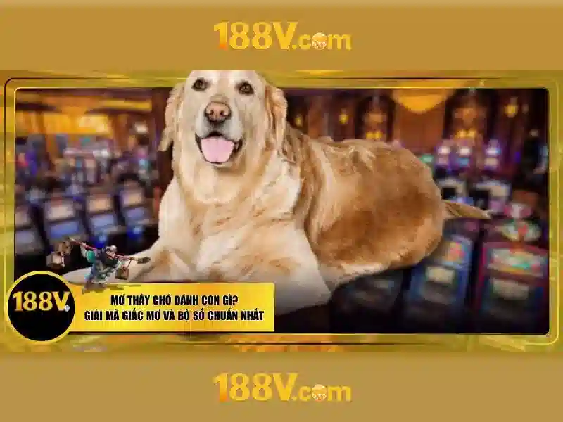 Hỗ trợ 188v – Tổng quan chủ đề và giá trị cốt lõi