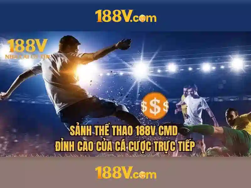 Trải nghiệm người dùng và phản hồi từ cộng đồng
