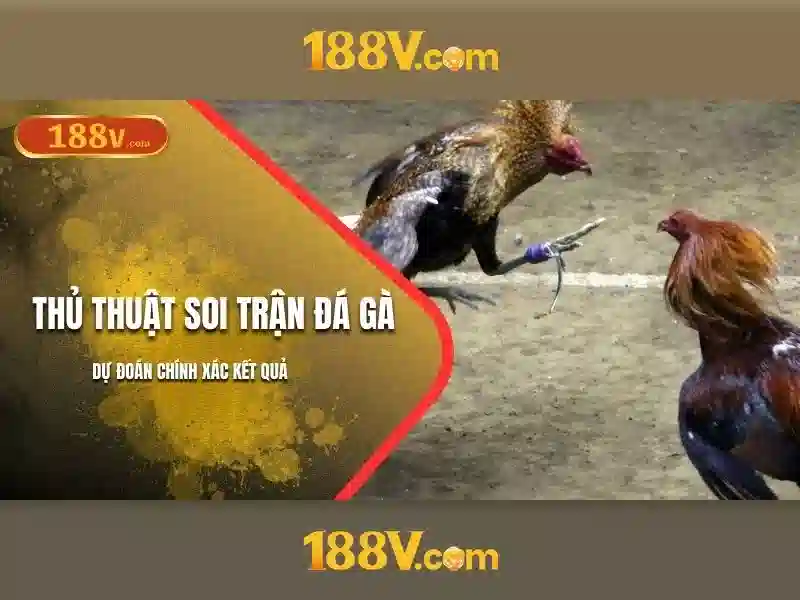 188v: một con số và hành trình