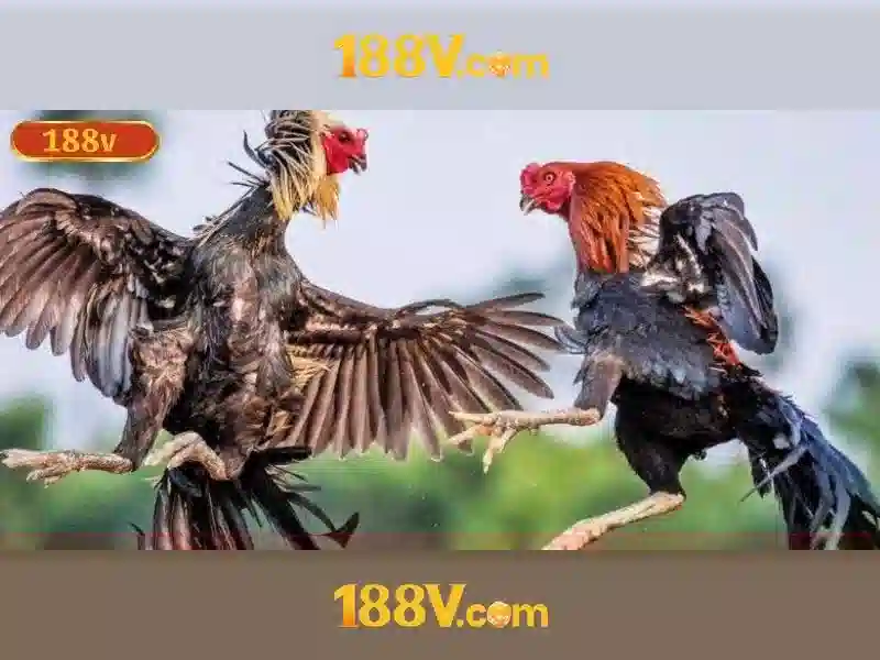 Ứng dụng trong nghệ thuật số và thiết kế