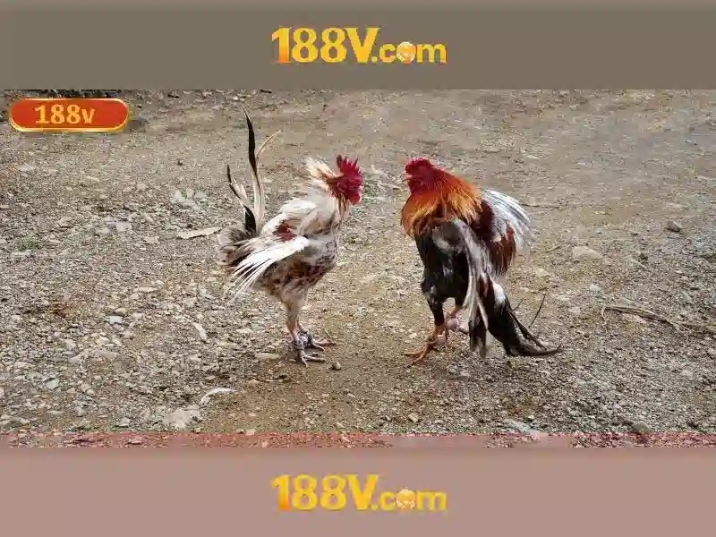 188v: hành trình của năng lượng và sáng tạo