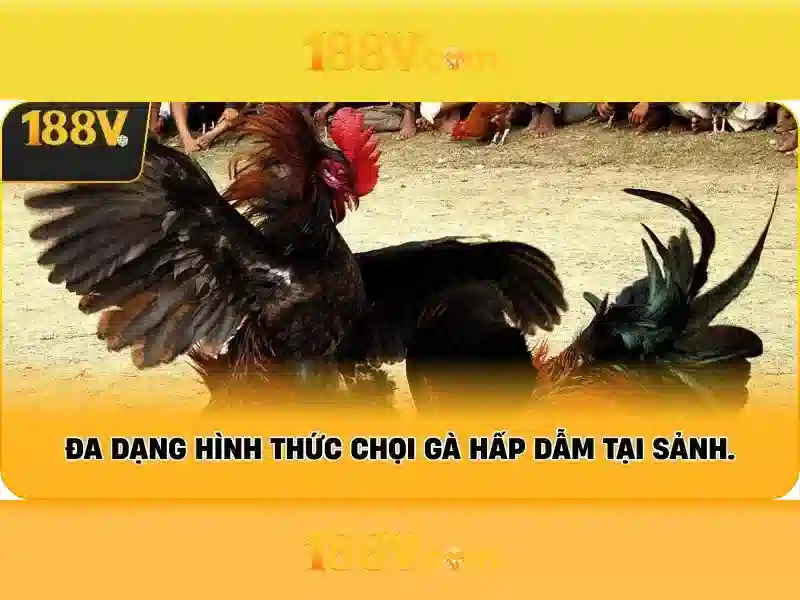 188v: Khám phá khái niệm và ứng dụng