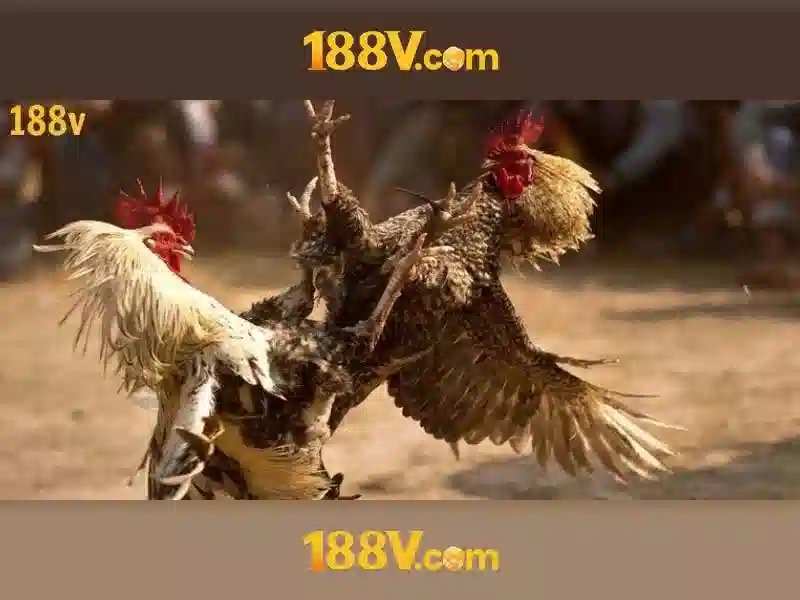Khái niệm về 188V