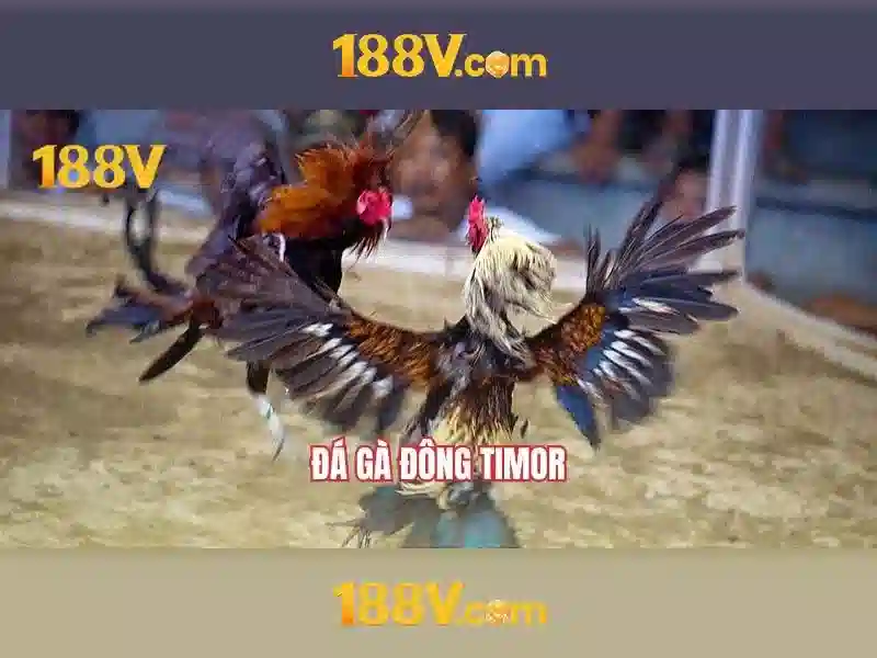 188v-com – chủ đề tổng quan và giá trị cốt lõi