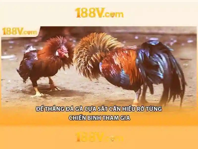 Khám phá 188v: nguồn gốc và ý nghĩa