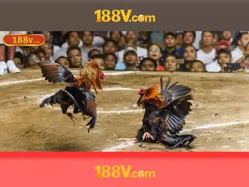 An toàn và bảo trì hệ thống 188V