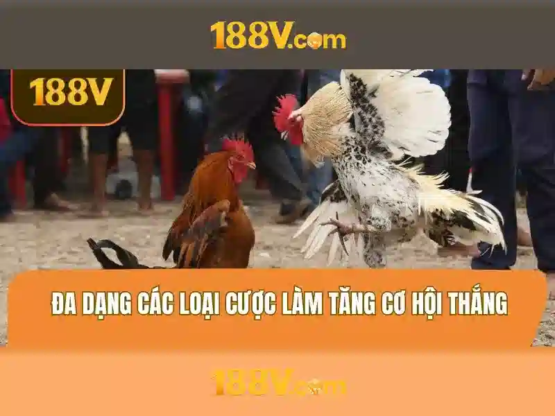 An toàn và hiệu quả 188V\n