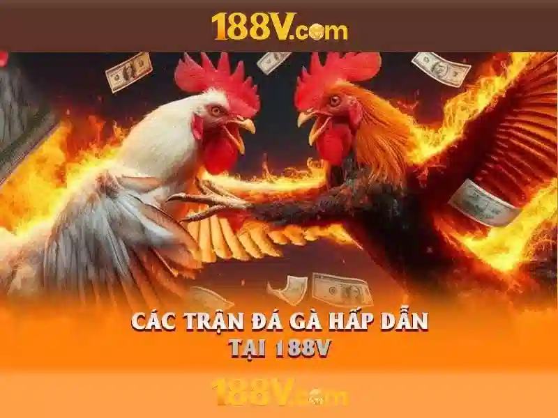 Giới thiệu về 188v