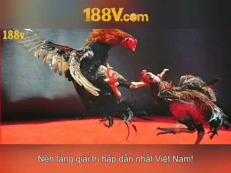 Khám phá 188v: một khung công nghệ cho dữ liệu và trải nghiệm người dùng