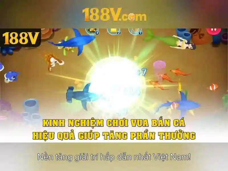 Ý nghĩa và biểu đạt