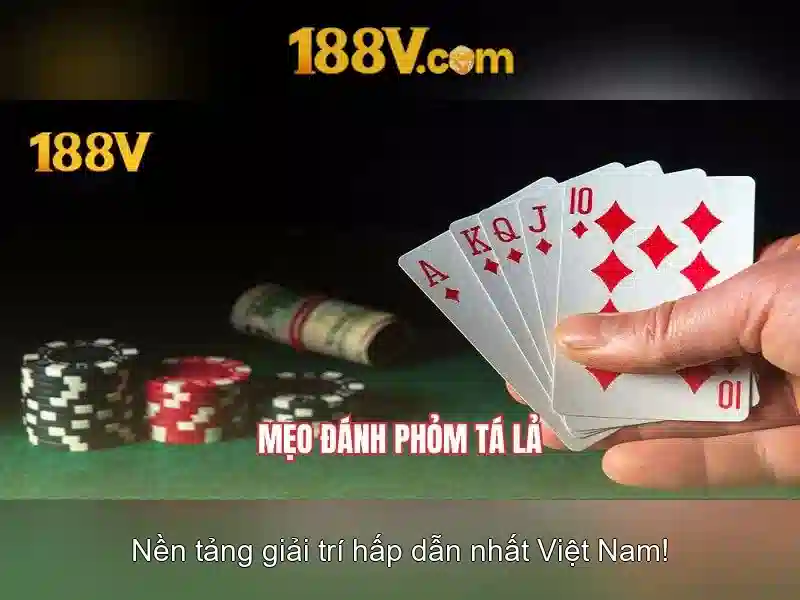 Những câu chuyện thành công và tương lai