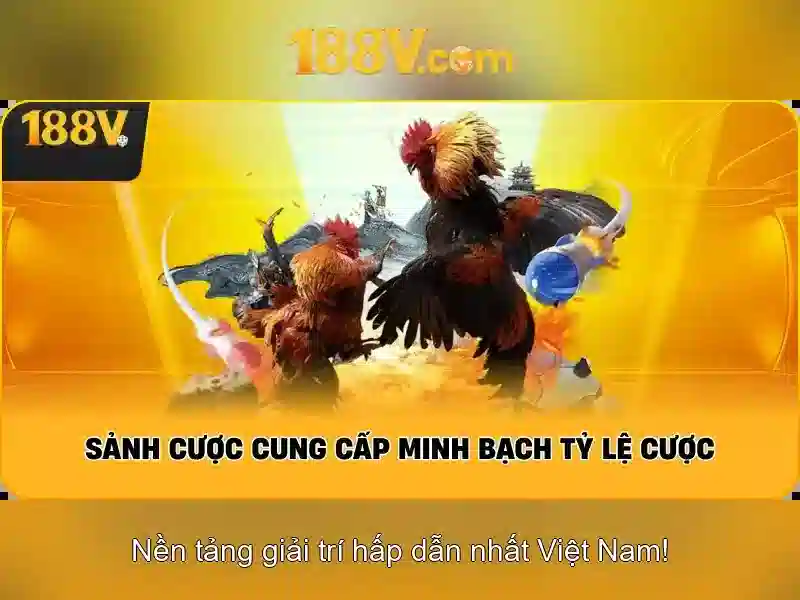 Kết nối toàn cầu của 188v