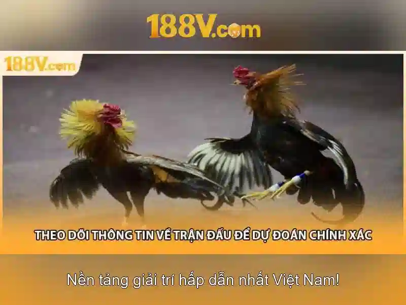 Giới thiệu về 188V\n