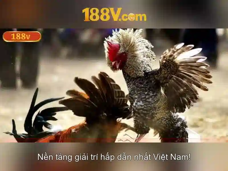 Ứng dụng và tác động của 188v