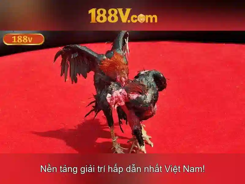 Khám phá 188v: một ký hiệu và hành trình