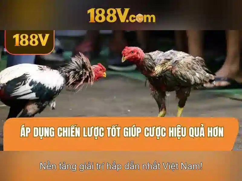 Ứng dụng và tác động