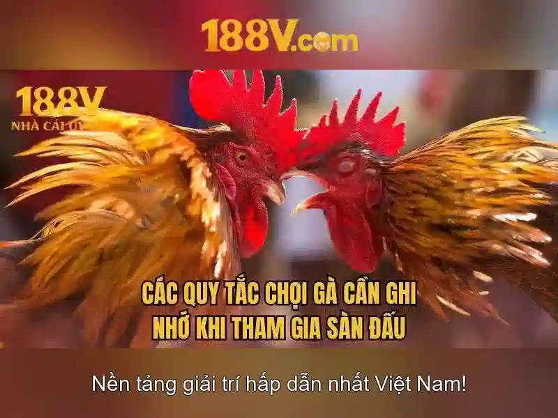 188v tại – Nền tảng đột phá cho telegram 188v