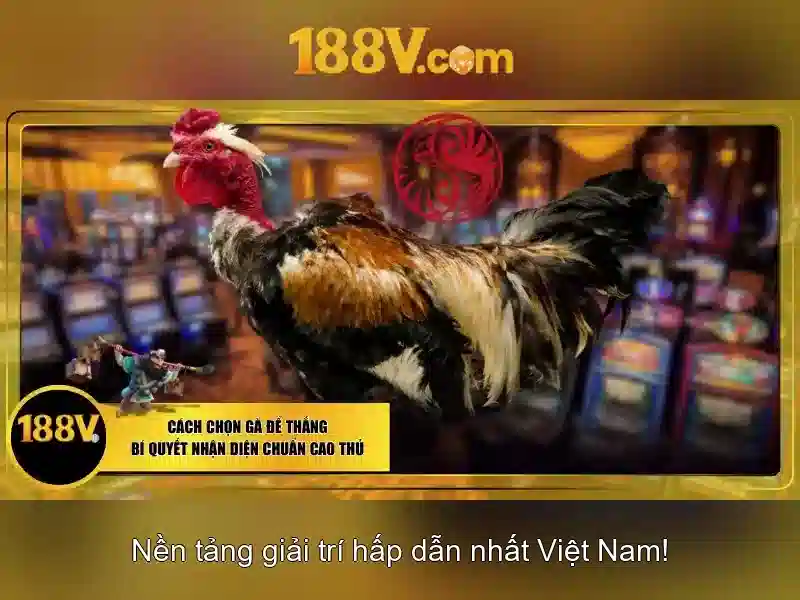 Những ứng dụng tiềm năng