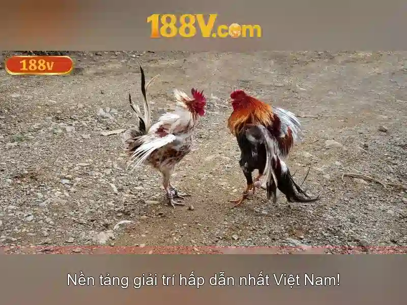 188v: một khái niệm công nghệ và định hướng tương lai