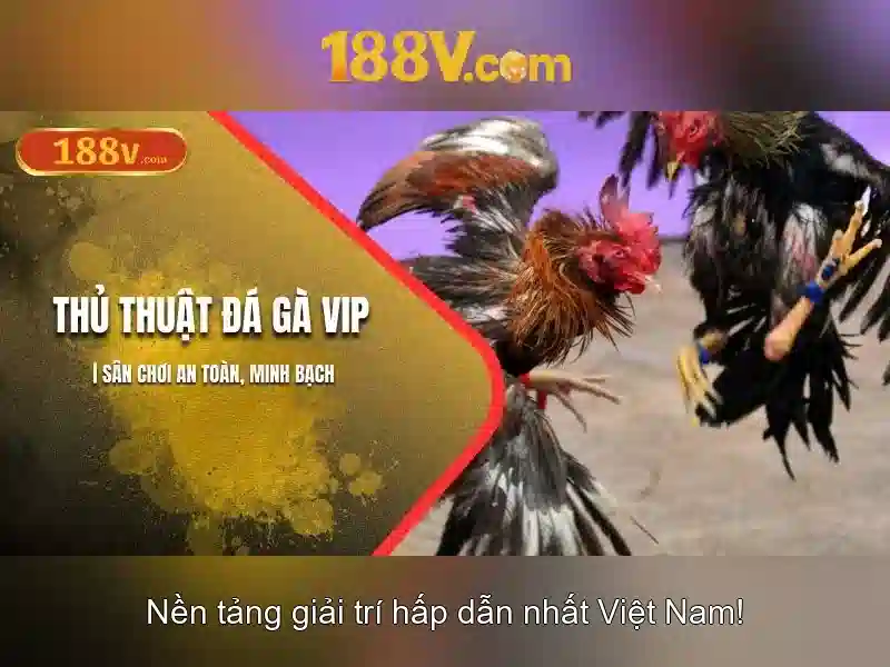 Ứng dụng và an toàn\n