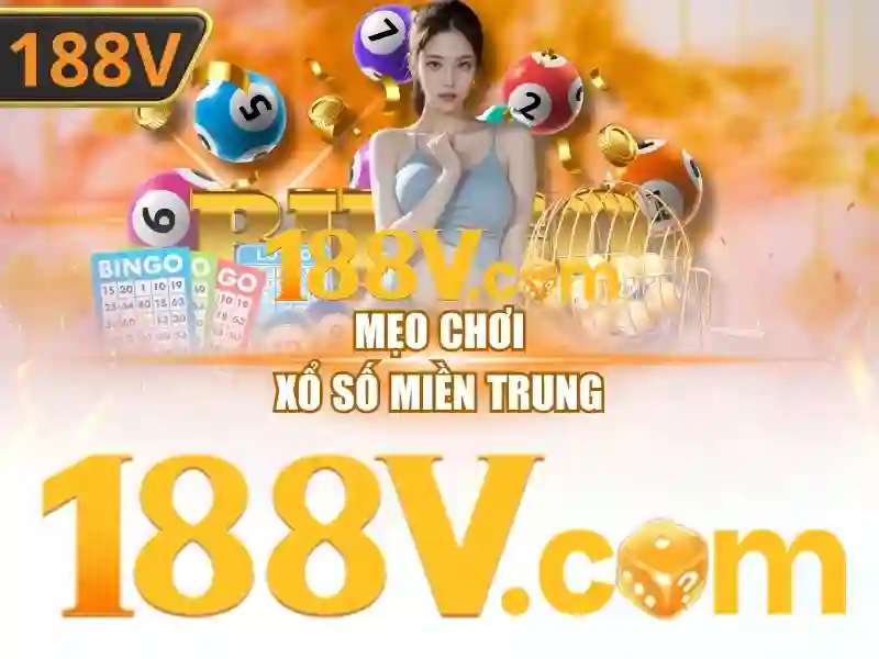 Trải nghiệm người dùng và phản hồi cộng đồng