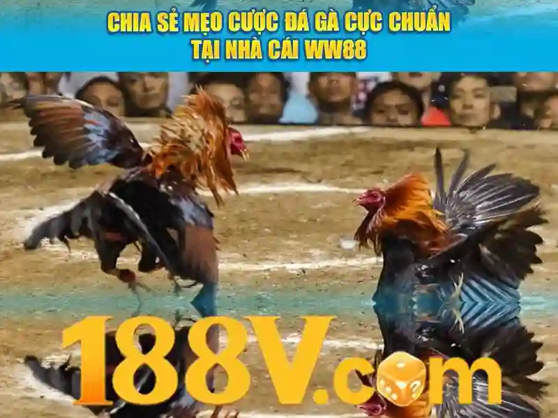 Khái niệm 188v