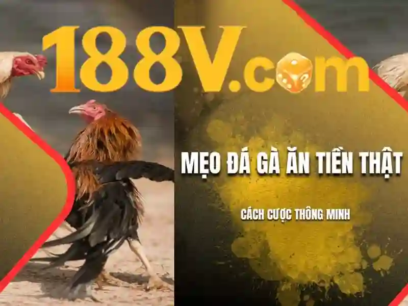 Nguồn gốc và sứ mệnh của 188v..com