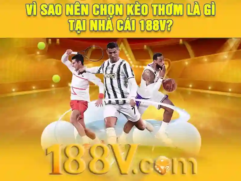 Ứng dụng và tác động\n